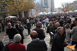 Santa Ninfa 19 11 2016 294.jpg